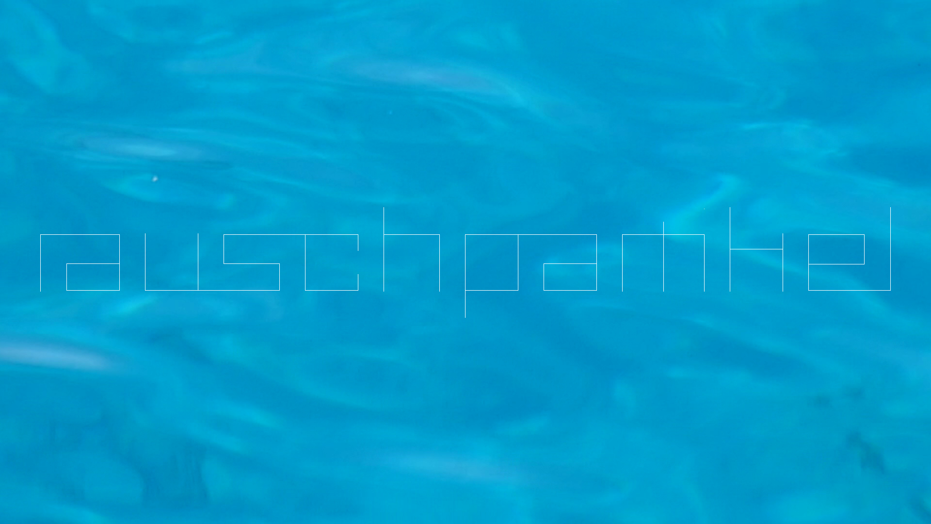 2022-11-09 07 Uhr 36 das Meer (Video, Foto)